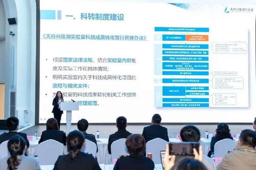 推動更多科技成果就地轉化 信息技術咨詢服務助力國家隊實驗室與大裝置融合發展